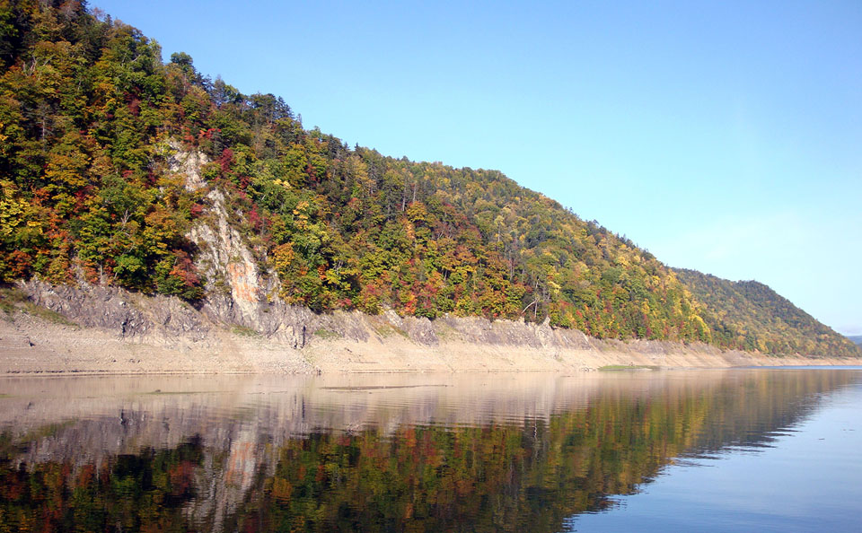 岩尾内湖の水鏡