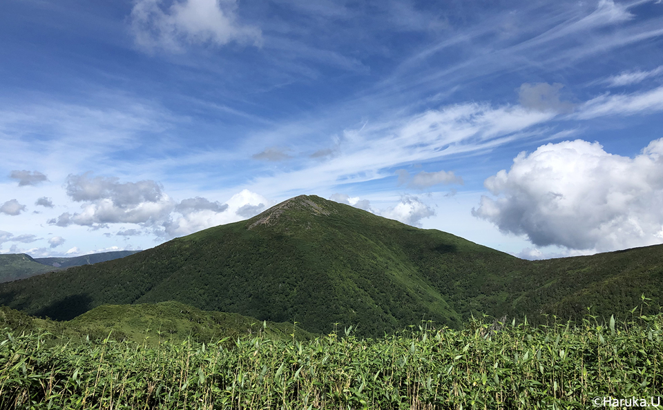 深緑が美しい天塩岳