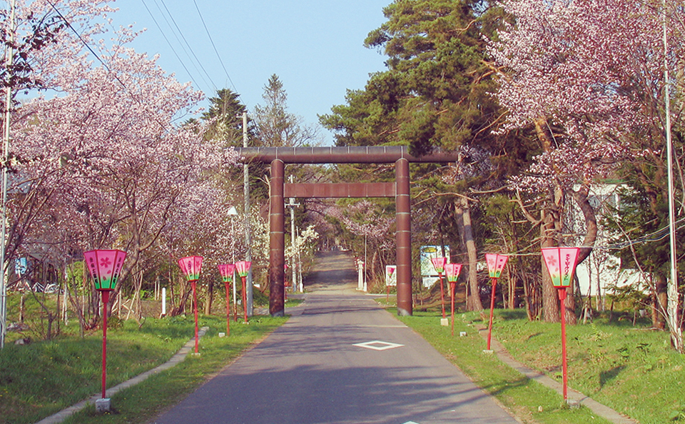 桜が広がる士別神社の鳥居